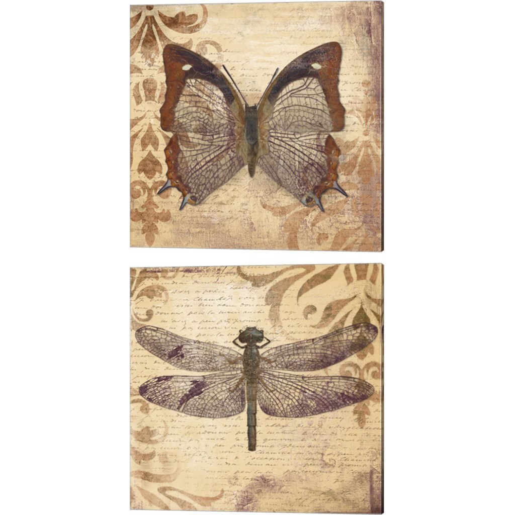 Butterfly &#x26; Dragonfly by Patricia Pinto 14&#x22; x 14&#x22; Canvas Wall Art (Set of 2)