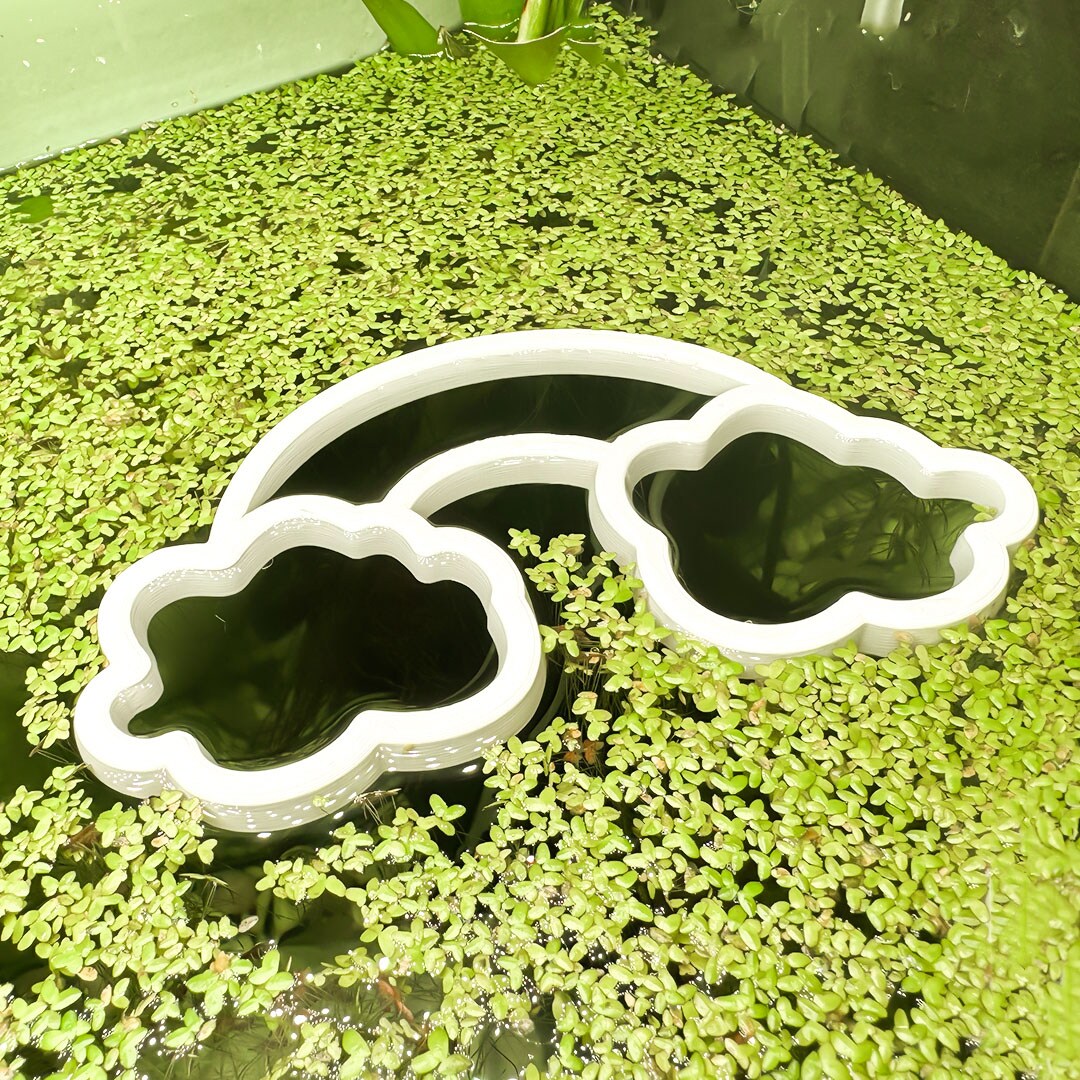 Fish Feeding Portal (Rainbow) ALGAERESISTANT Beta Training, Food