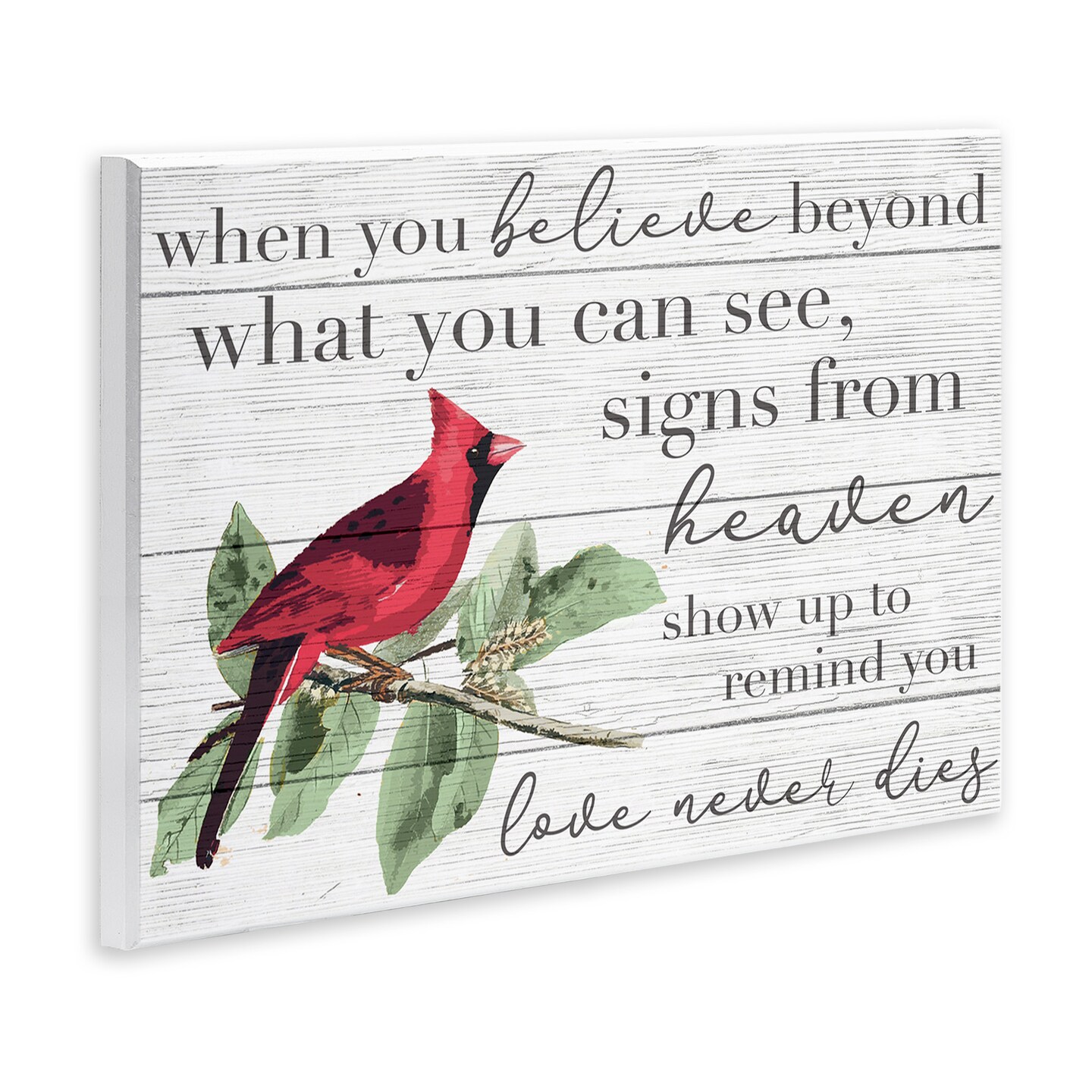 Stupell Industries Love Never Dies Inspirational Cardinal Wall Plaque Art
