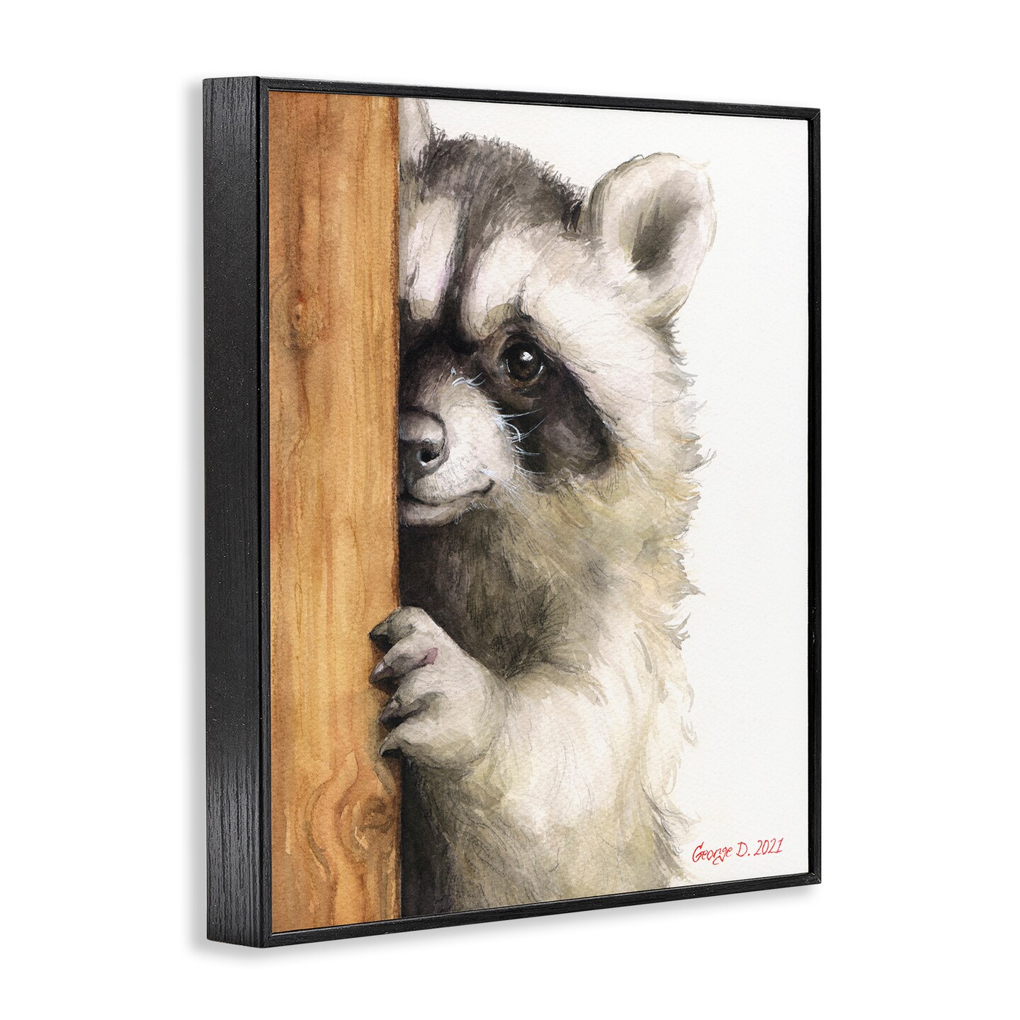 Stupell Industries Peering Raccoon Watercolor Framed Giclee Art