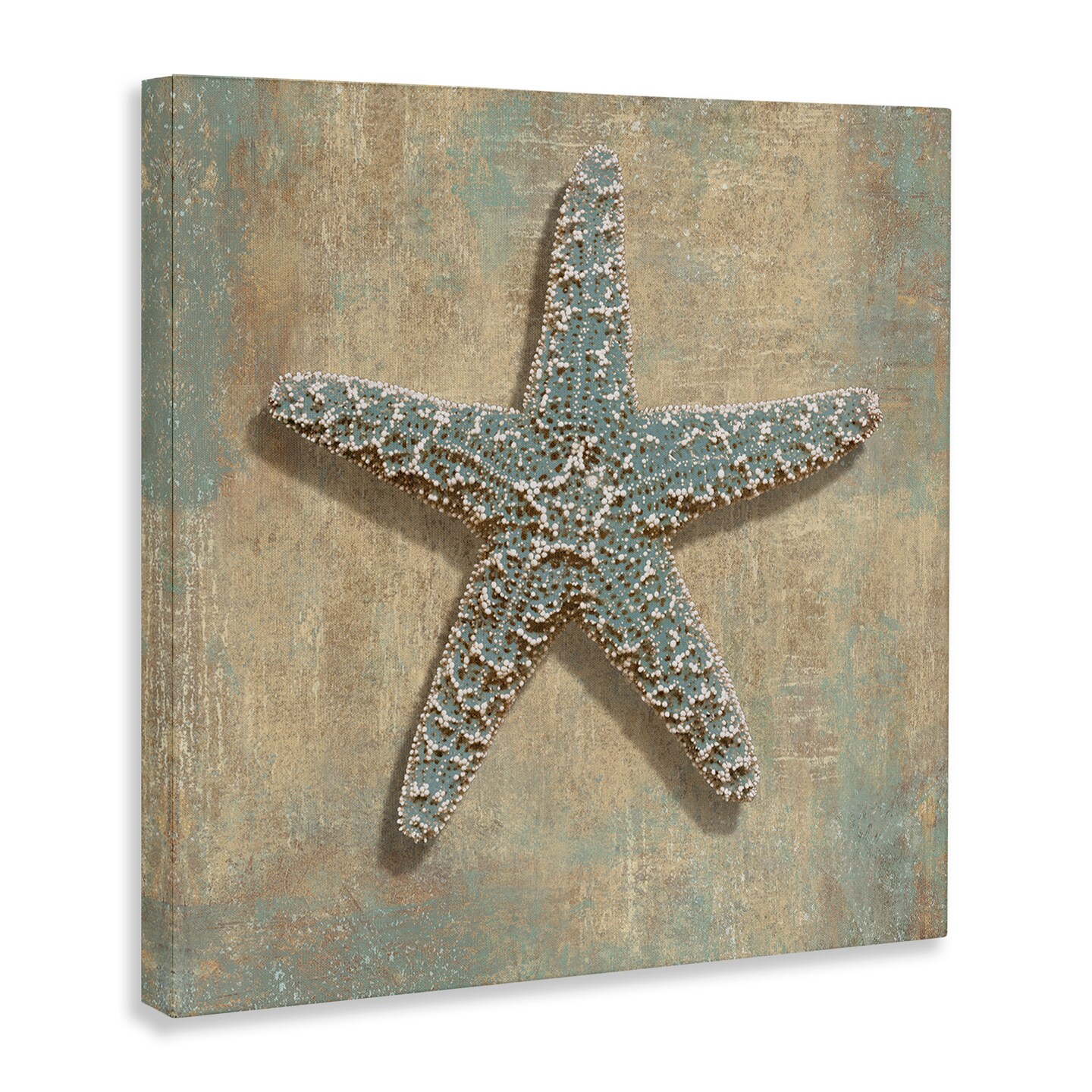 Stupell Industries Starfish Beach Objects Design Canvas Wall Art