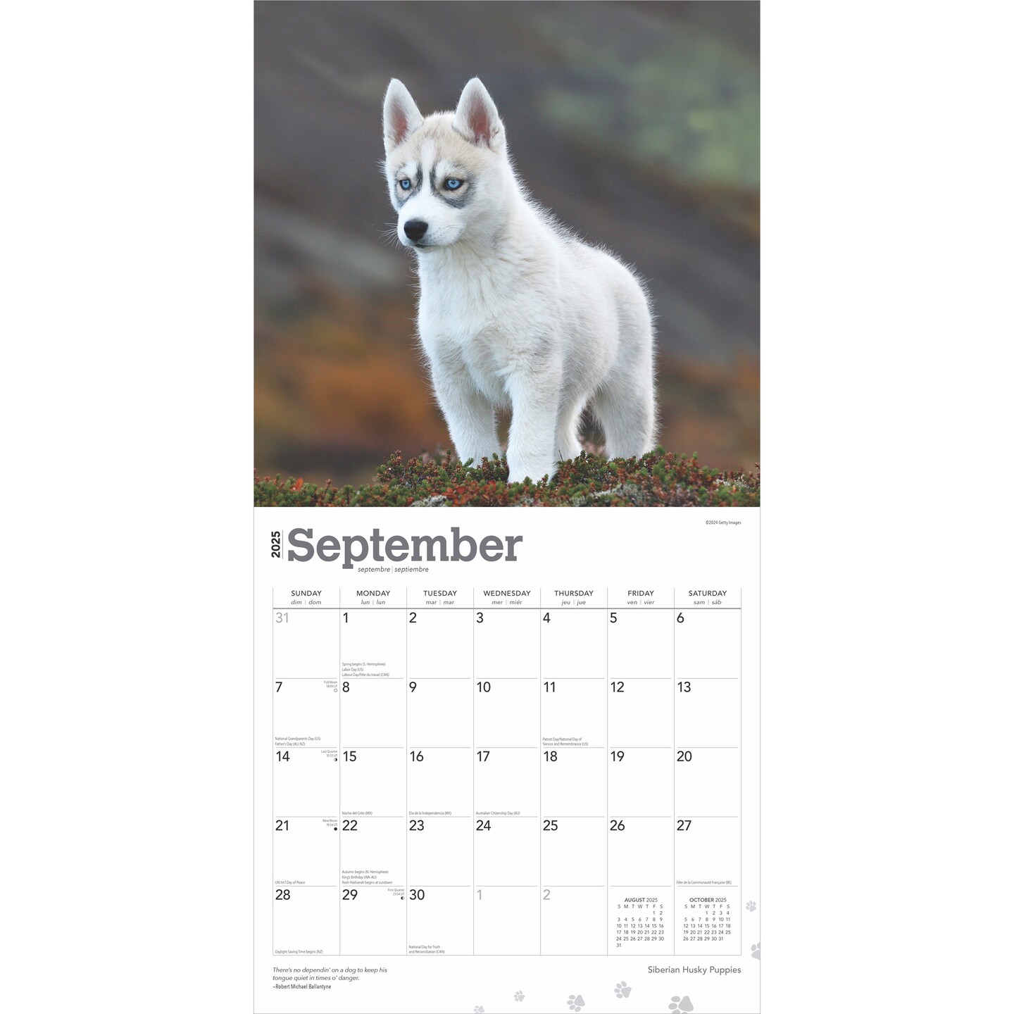 Siberian Husky Puppies | 2025 12 x 24 Inch Monthly Square Wall Calendar | Plastic-Free | BrownTrout | Animal Dog Breeds