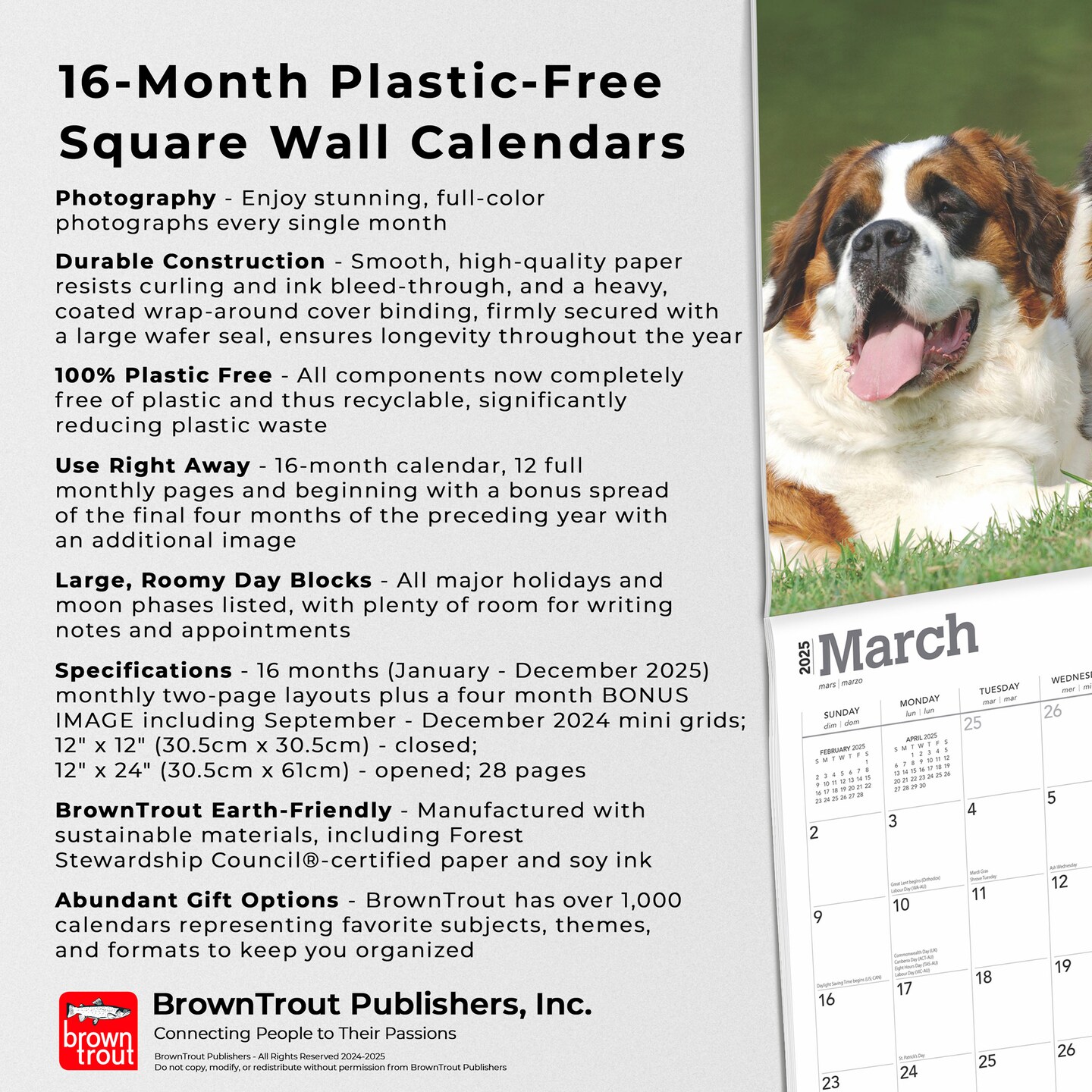 Saint Bernards | 2025 12 x 24 Inch Monthly Square Wall Calendar | Plastic-Free | BrownTrout | Animals Dog Breeds