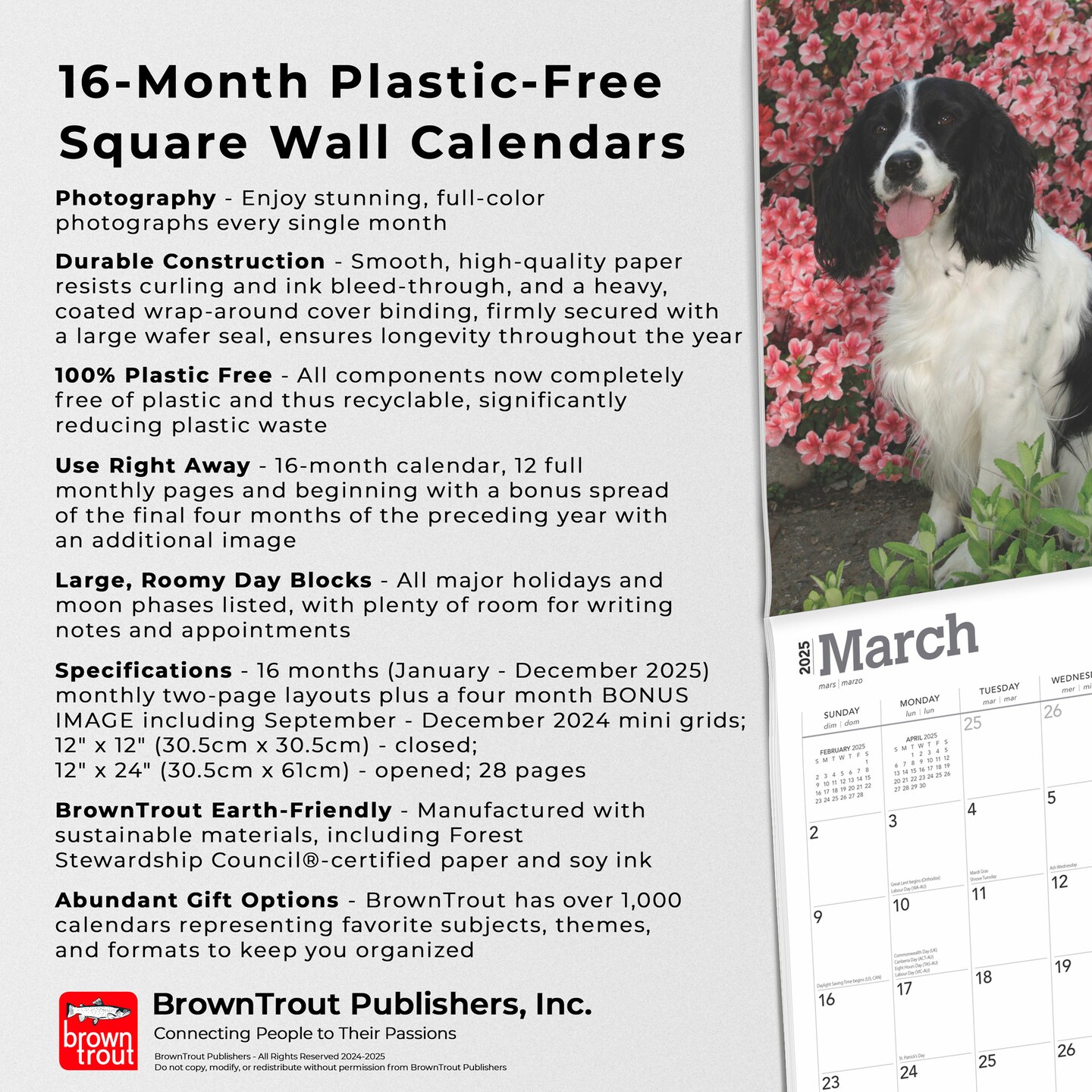 English Springer Spaniels | 2025 12 x 24 Inch Monthly Square Wall Calendar | Plastic-Free | BrownTrout | Animals Dog Breeds