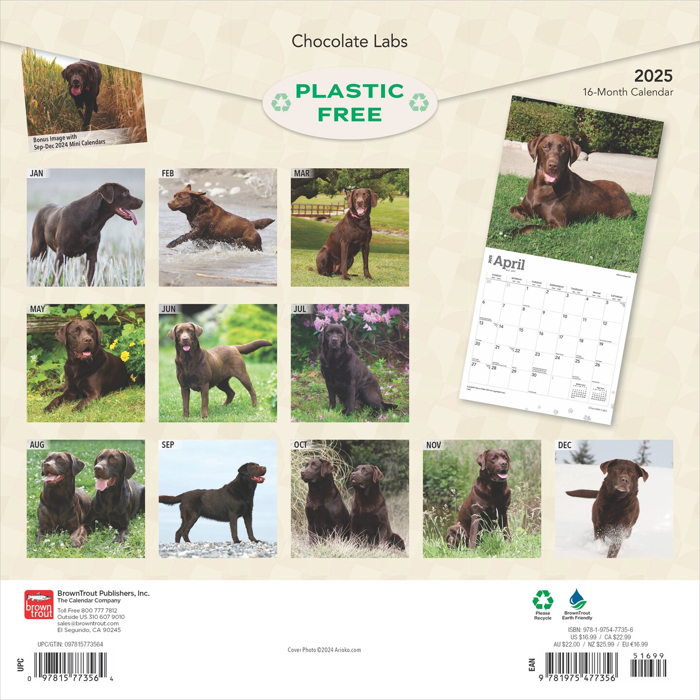Chocolate Labrador Retrievers | 2025 12 x 24 Inch Monthly Square Wall Calendar | Plastic-Free | BrownTrout | Animals Dog Breeds