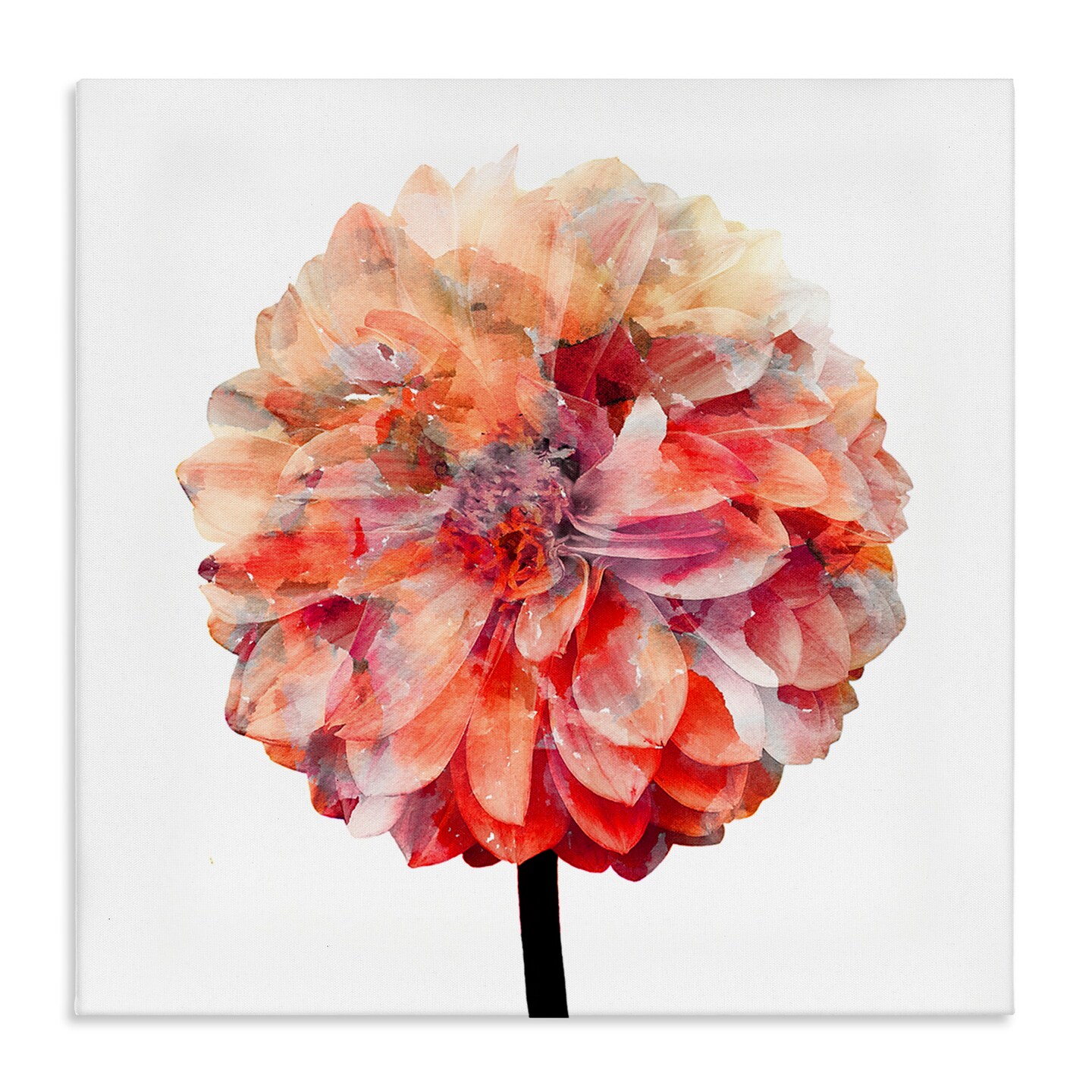 Stupell Industries Bright Coral Watercolor Bloom Canvas Wall Art