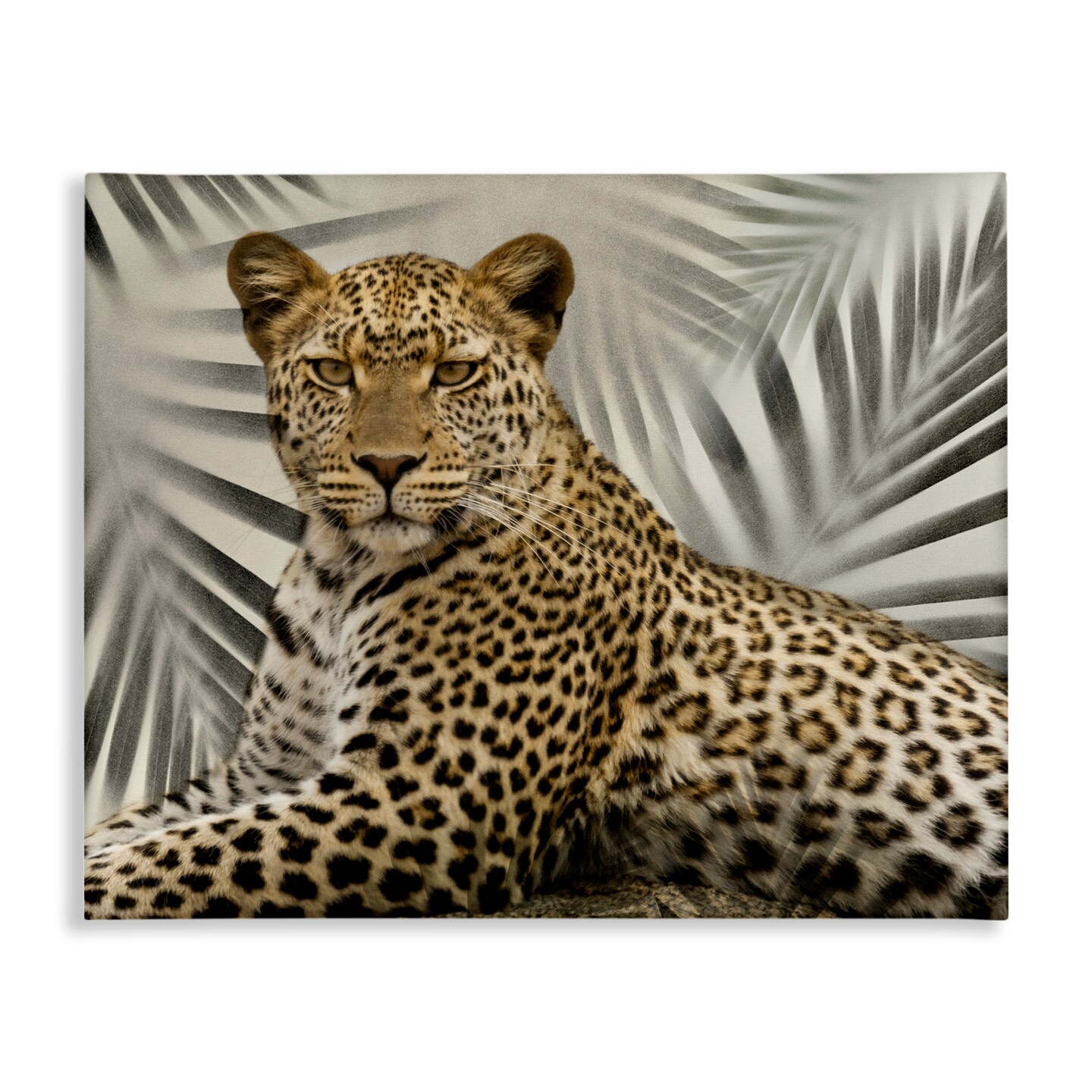 Stupell Industries Leopard with Palm Fronds Canvas Wall Art