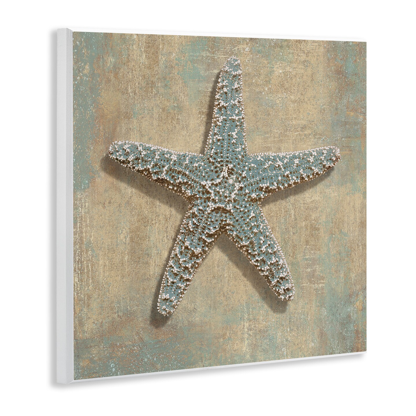 Stupell Industries Starfish Beach Objects Design Wall Plaque Art