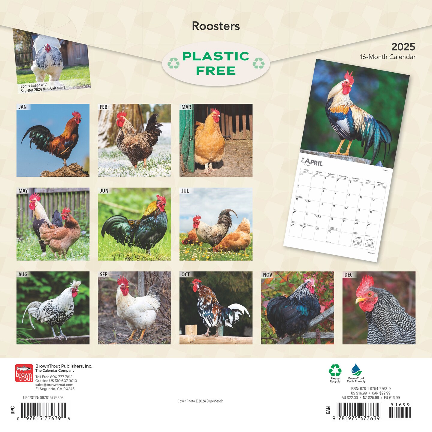 Roosters | 2025 12 x 24 Inch Monthly Square Wall Calendar | Plastic-Free | BrownTrout | Domestic Farm Barn Animals 