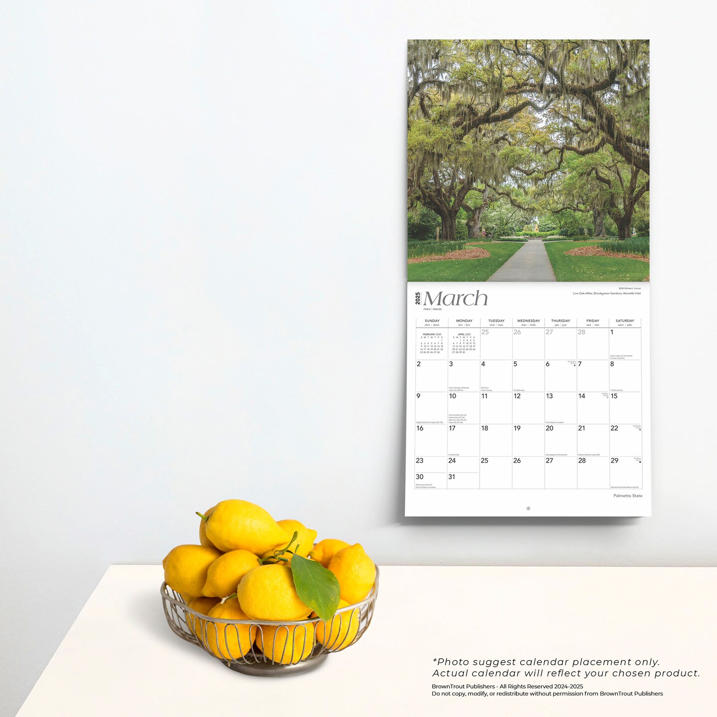 Palmetto State | South Carolina Places | 2025 12 x 24 Inch Monthly Square Wall Calendar | Plastic-Free | BrownTrout | USA United States of America Southeast State Nature