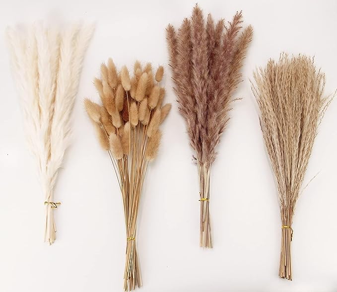 Dried Pampas Grass Decor, 100PCS Pampas grass contains bunny tails. Dried Flowers, Reed Grass Bouquet for Wedding Bohemian Flowers Home Table Decor, Rustic Farmhouse Party (White and Brown)
