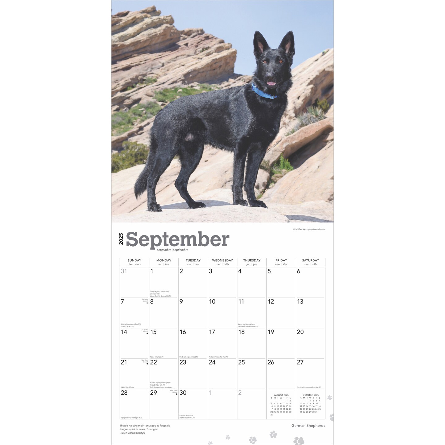 German Shepherds | 2025 12 x 24 Inch Monthly Square Wall Calendar | Plastic-Free | BrownTrout | Animals Dog Breeds