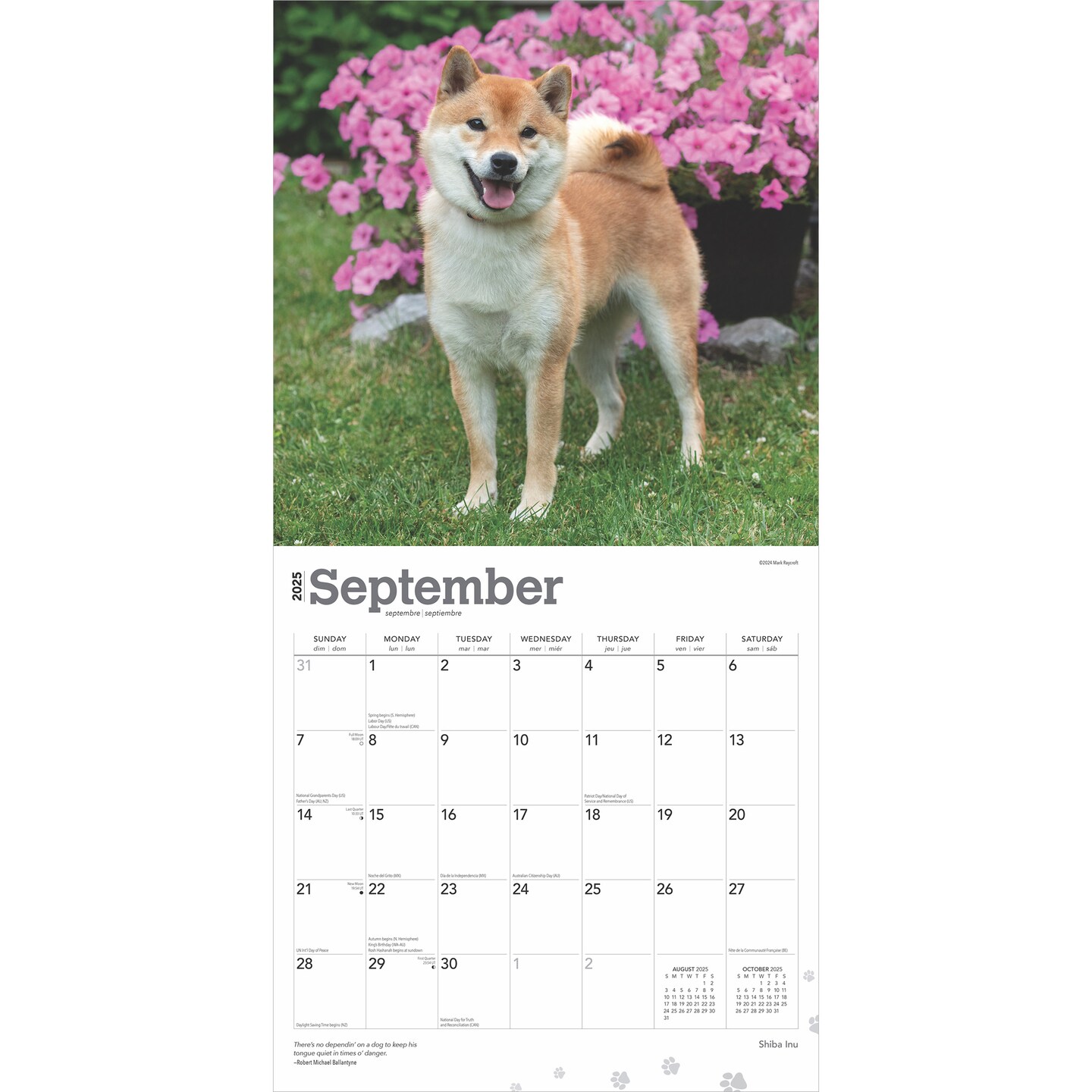 Shiba Inu | 2025 12 x 24 Inch Monthly Square Wall Calendar | Plastic-Free | BrownTrout | Animals Asian Dog Breeds