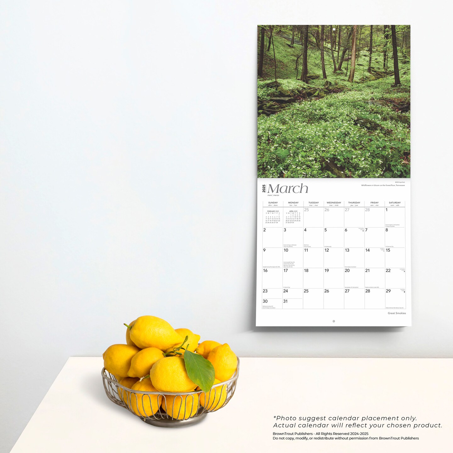 Great Smokies | 2025 12 x 24 Inch Monthly Square Wall Calendar | Plastic-Free | BrownTrout | USA United States of America Scenic Nature Mountain