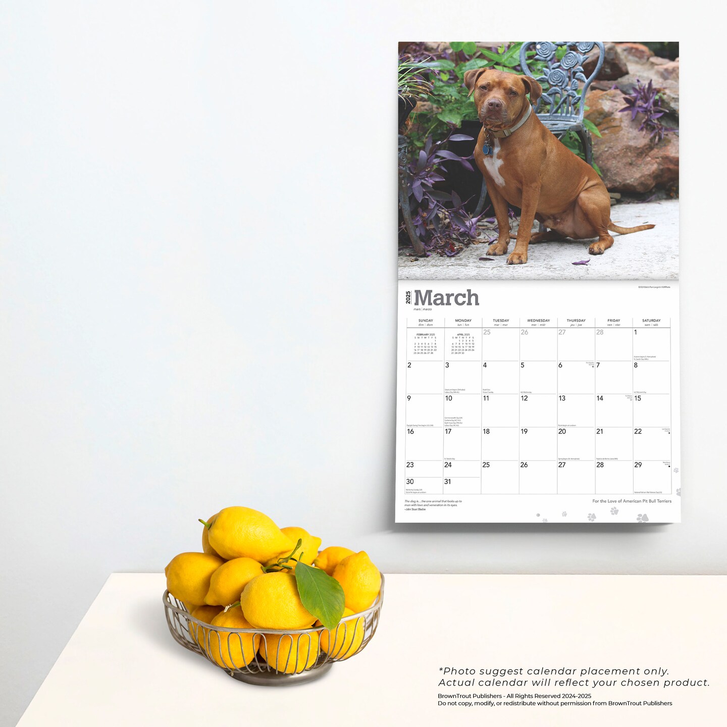 For the Love of American Pit Bull Terriers | 2025 14 x 24 Inch Monthly Deluxe Wall Calendar | Foil Stamped Cover | Plastic-Free | BrownTrout | Animal Dog Breeds
