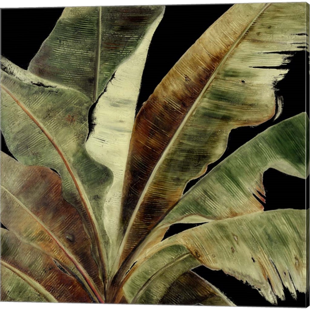 Uraba Palm on Black by Patricia Pinto 14&#x22; x 14&#x22; Canvas Wall Art (Set of 2)