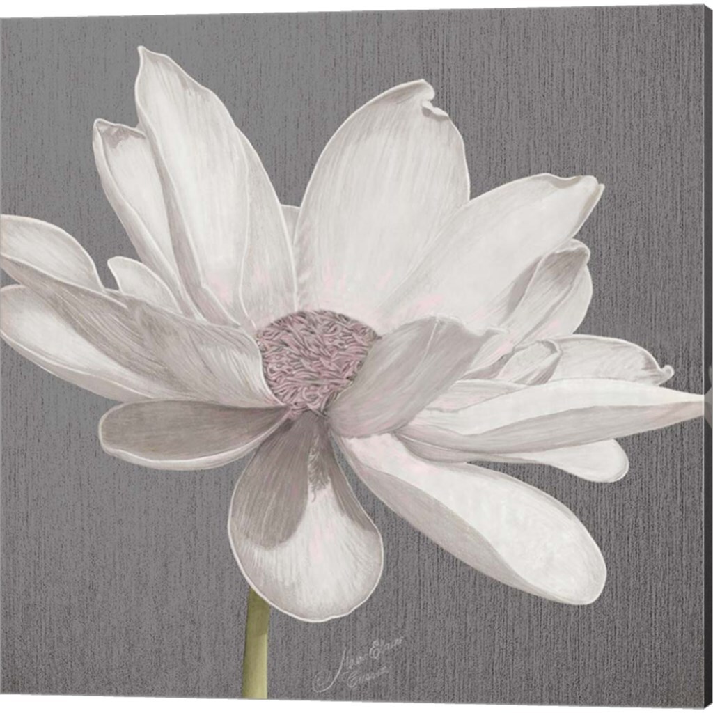 Vintage Lotus on Grey by Marie-Elaine Cusson 14" x 14" Canvas Wall Art (Set of 2)