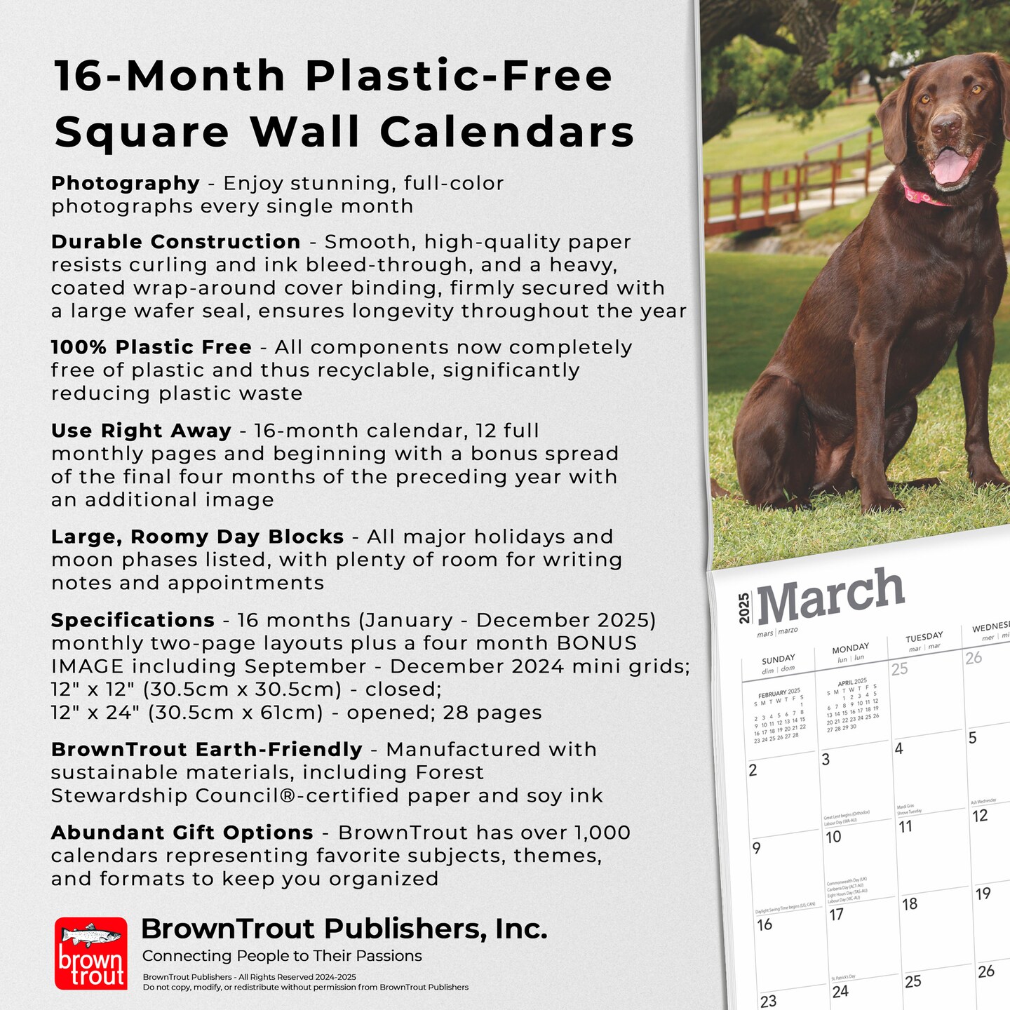 Chocolate Labrador Retrievers | 2025 12 x 24 Inch Monthly Square Wall Calendar | Plastic-Free | BrownTrout | Animals Dog Breeds