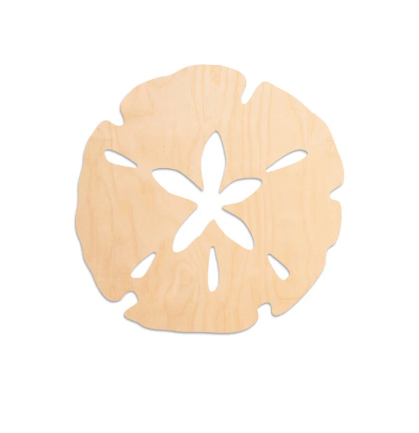 12&#x22; Sand Dollar