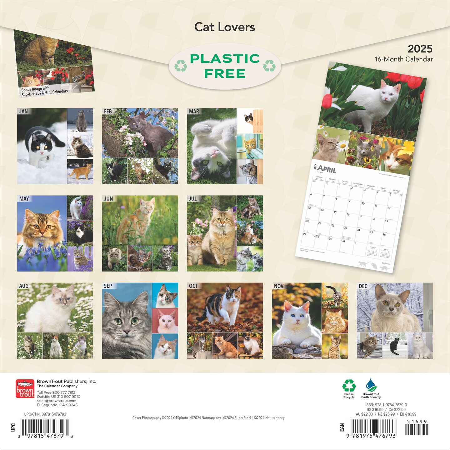 Cat Lovers | 2025 12 x 24 Inch Monthly Square Wall Calendar | Foil Stamped Cover | Plastic-Free | BrownTrout | Animals Domestic Kittens Feline