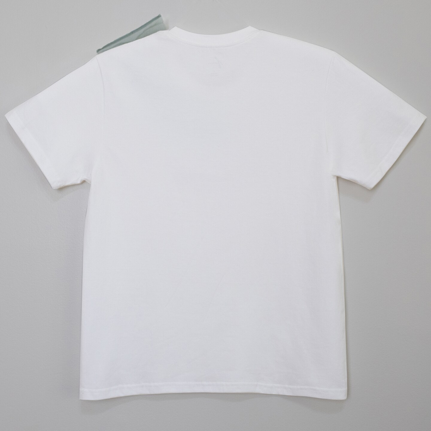 Organza Ruffled T-Shirt. Asymmetric Light Green Ruffle. Premium
