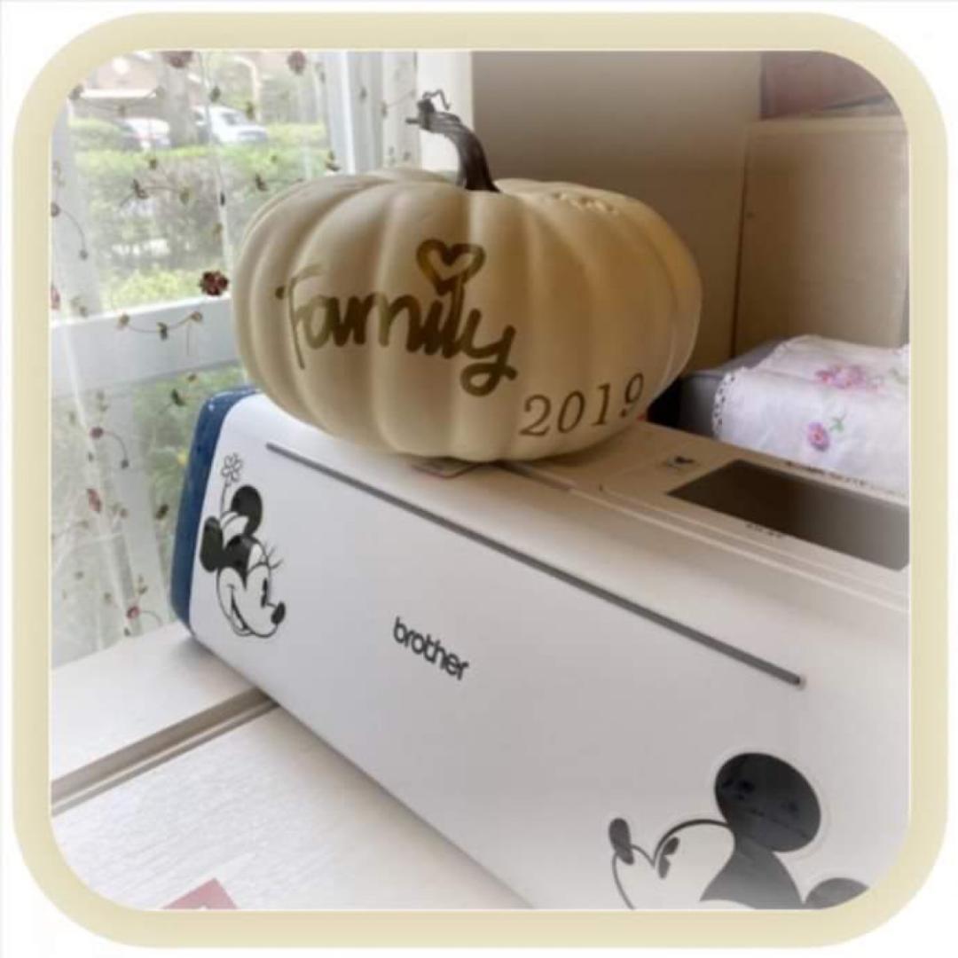 Learn your Brother Scan N Cut Machine