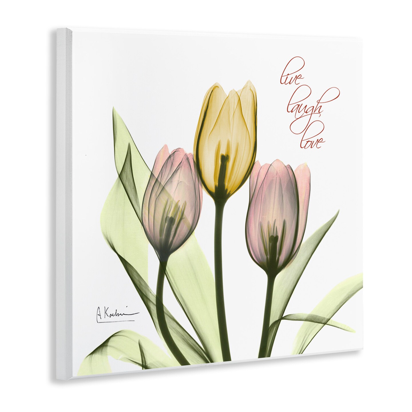 Stupell Industries Live Laugh Love Tulips Wall Plaque Art
