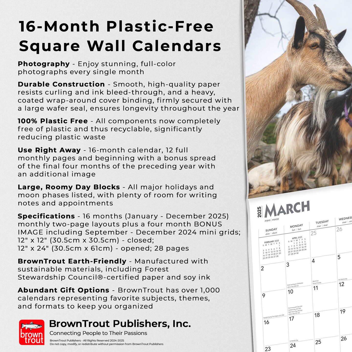 Goats | 2025 12 x 24 Inch Monthly Square Wall Calendar | Plastic-Free | BrownTrout | Domestic Farm Animals 