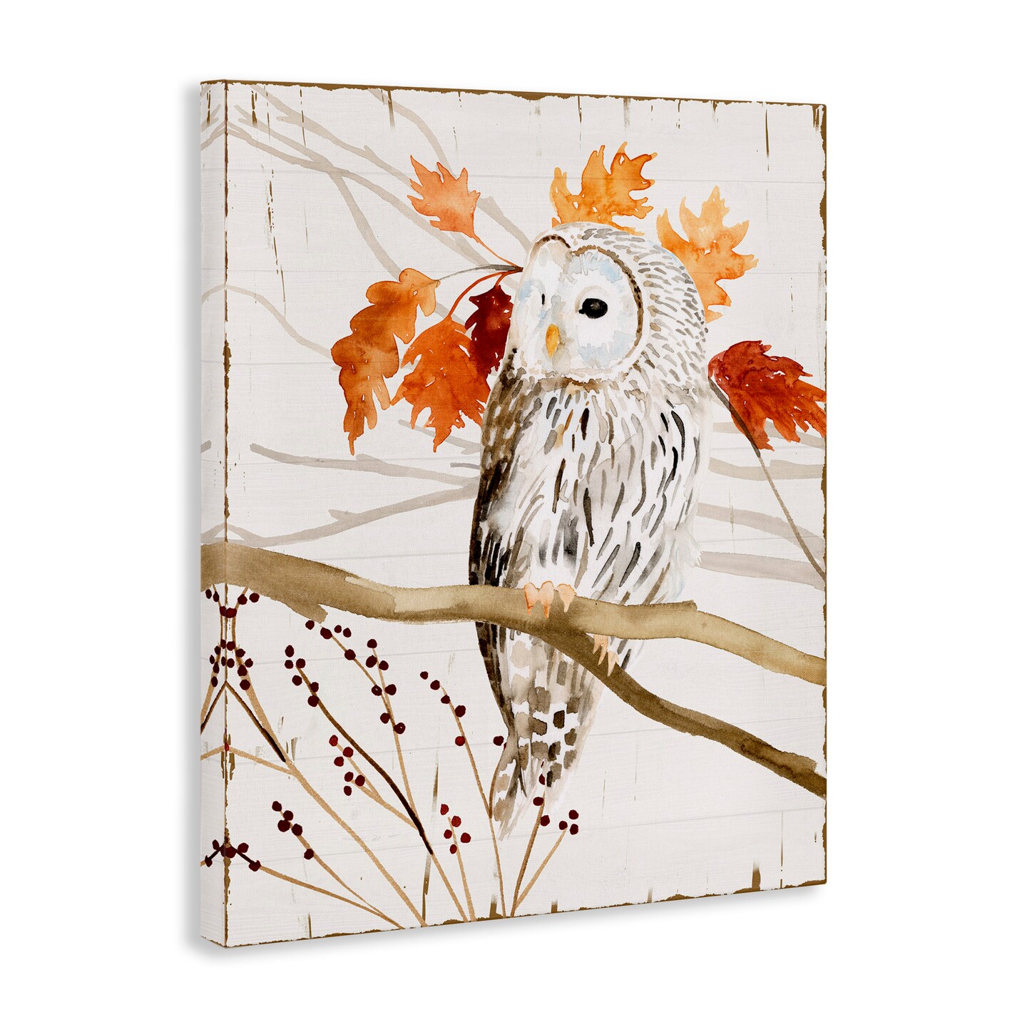 Stupell Industries Owl In Autumnal Forest Canvas Wall Art