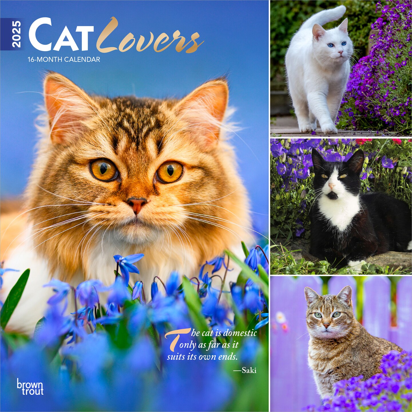 Cat Lovers | 2025 12 x 24 Inch Monthly Square Wall Calendar | Foil Stamped Cover | Plastic-Free | BrownTrout | Animals Domestic Kittens Feline