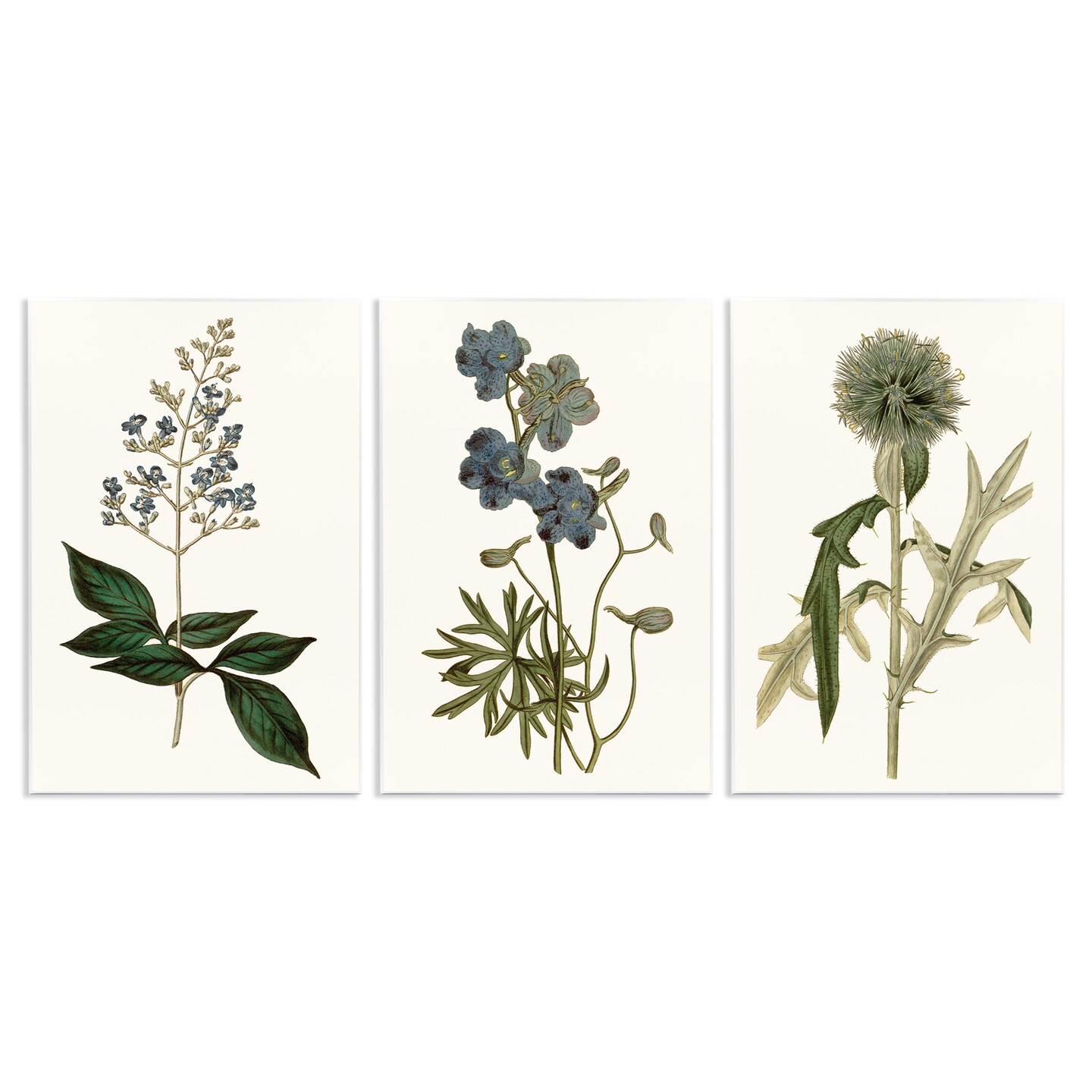 Stupell Industries Vintage Botanical Flowers on Beige Wall Plaque Art