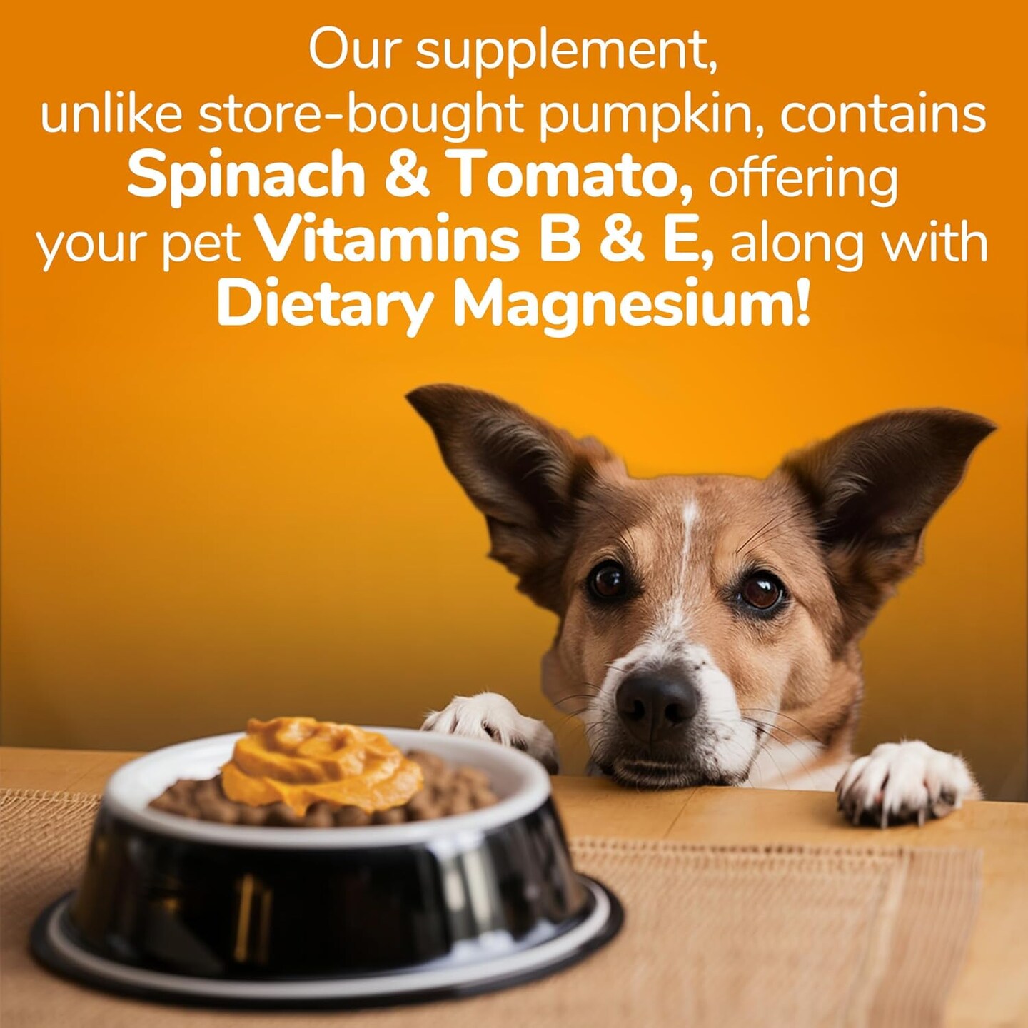 Pumpkin Digestive Supplement - Made With Pumpkin for Dogs Healthy Fiber Supplement for Pet Nutrition (15 ounces)