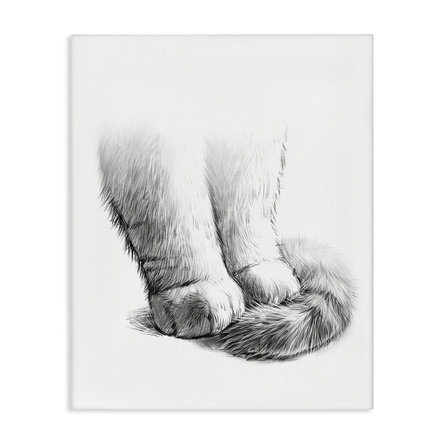 Stupell Industries Fluffy Cat Paws &#x26; Tail Canvas Wall Art
