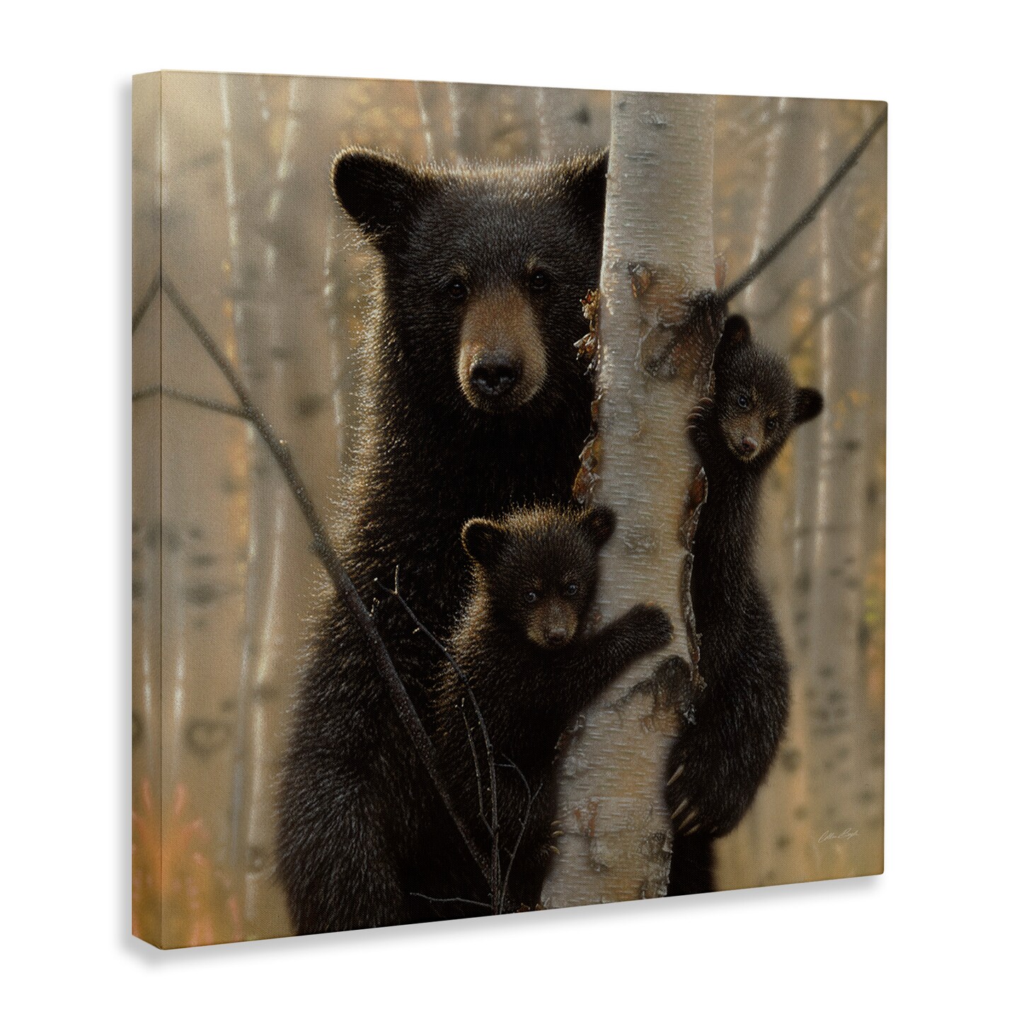 Stupell Industries Forest Black Bear and Cubs Canvas Wall Art