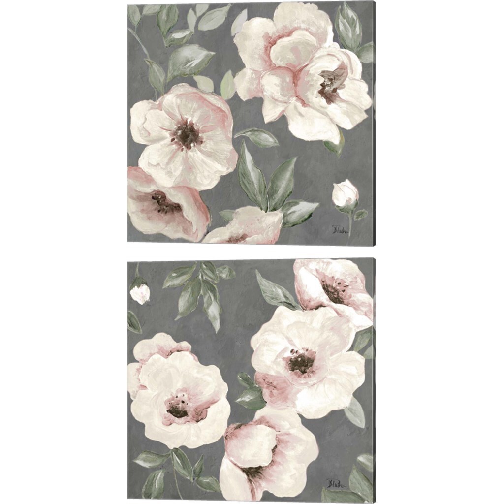 Dusty Rose by Patricia Pinto 14" x 14" Canvas Wall Art (Set of 2)