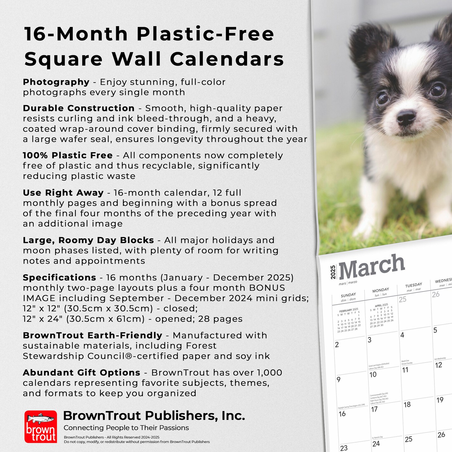 Chihuahua Puppies | 2025 12 x 24 Inch Monthly Square Wall Calendar | Plastic-Free | BrownTrout | Animals Small Dog Breeds
