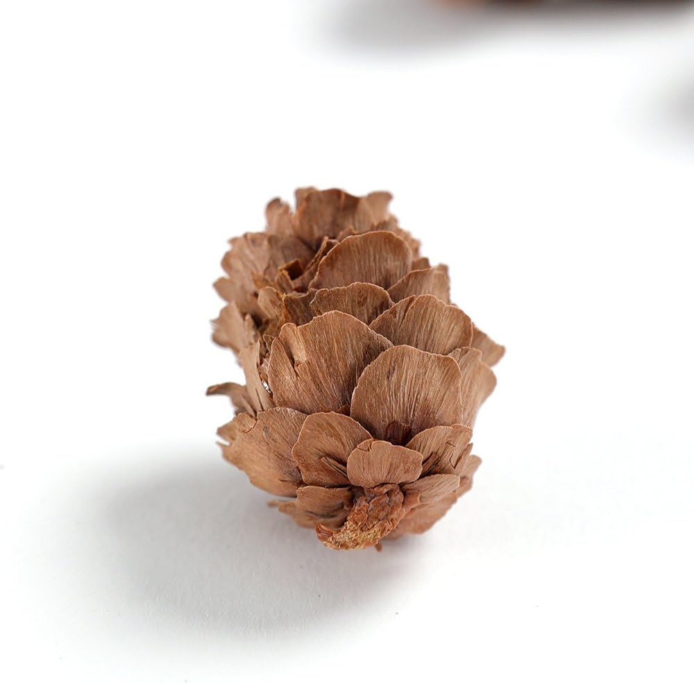 Pine Cones, Mini Pinecones in Bulk for Crafts, 8OZ, Pack of 110 (Natural)