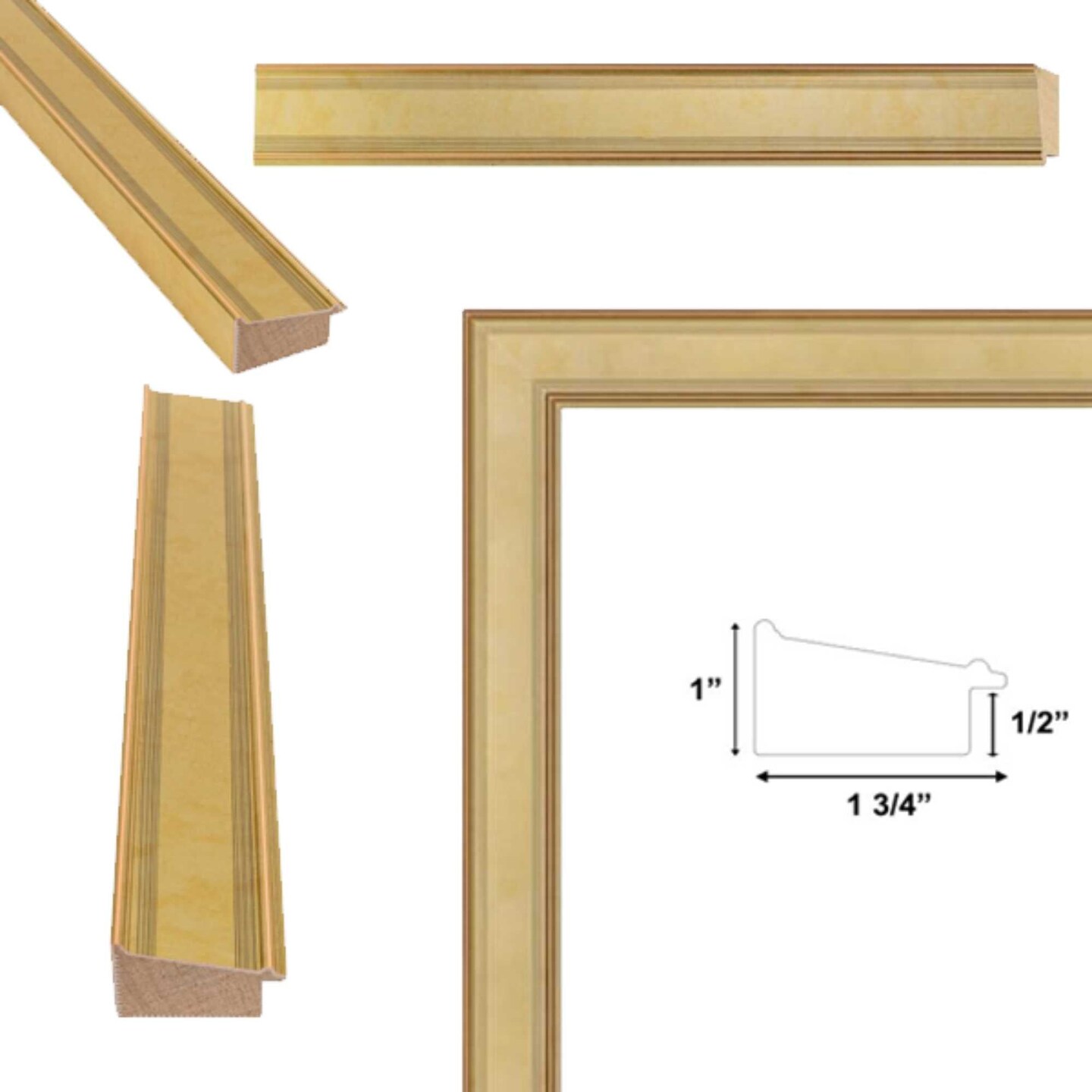 Modern Contemporary Champagne Gold Flat Picture Frame 11x17 frame