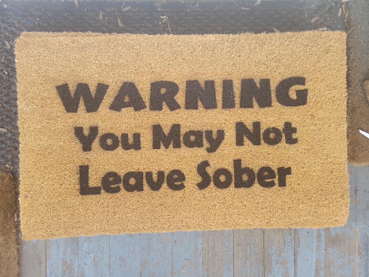 You May Not Leave Sober Funny Front Door Mat, Housewarming Gift, Funny Doormat for Porch Mat, Birthday Gift, Alcohol Floor Mat product 2