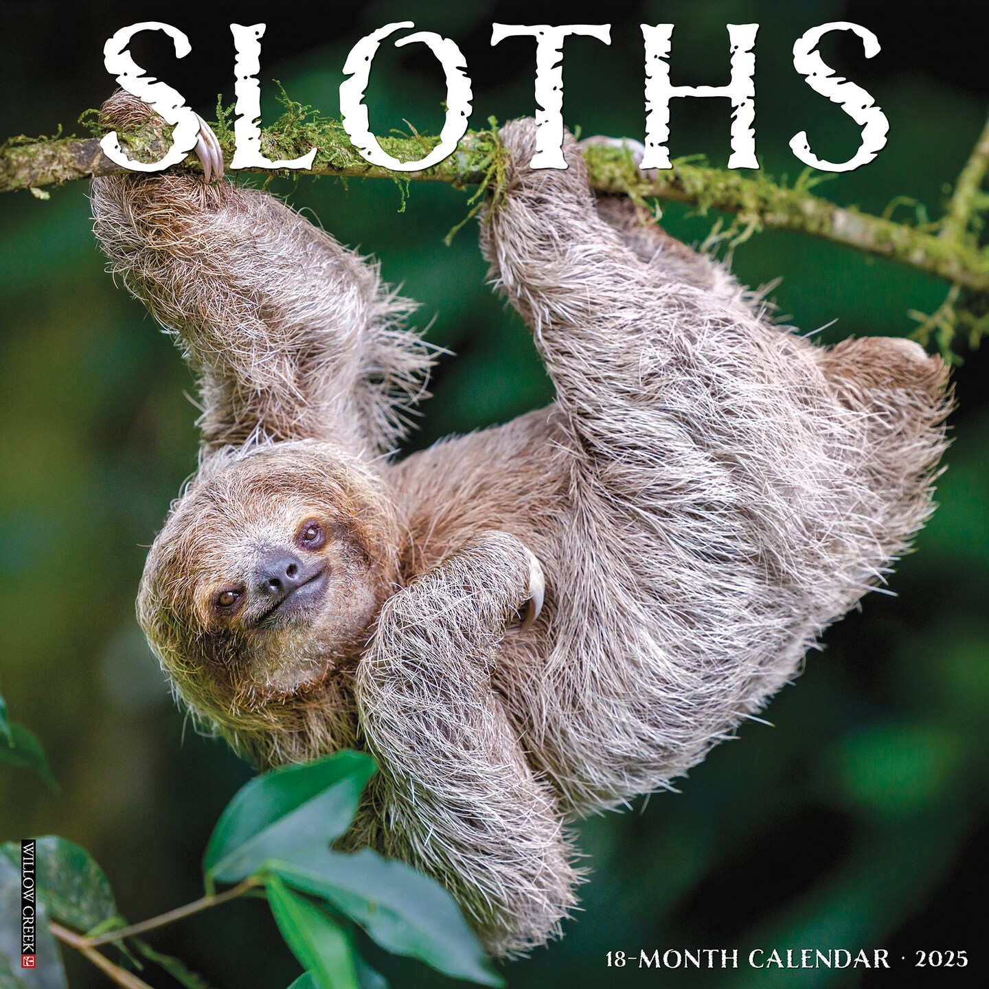 Sloths 2025 Wall Calendar