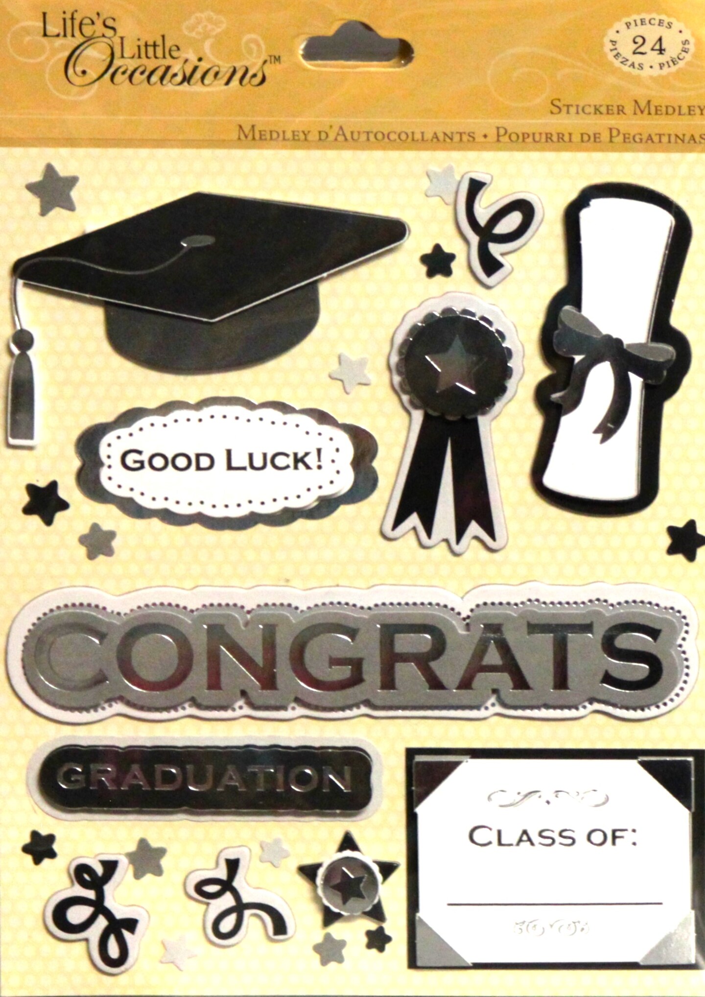 K &#x26; Company Life&#x27;s Little Occasions Graduation Dimensional Stickers