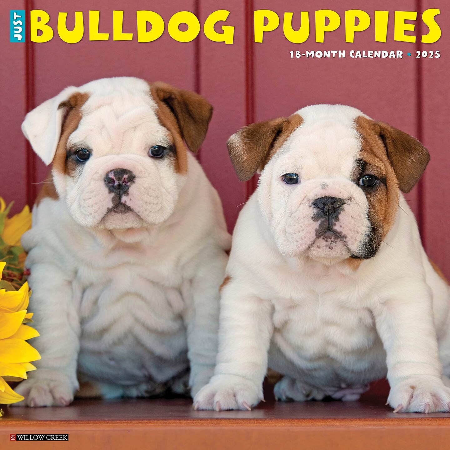 Bulldog Puppies 2025 Wall Calendar