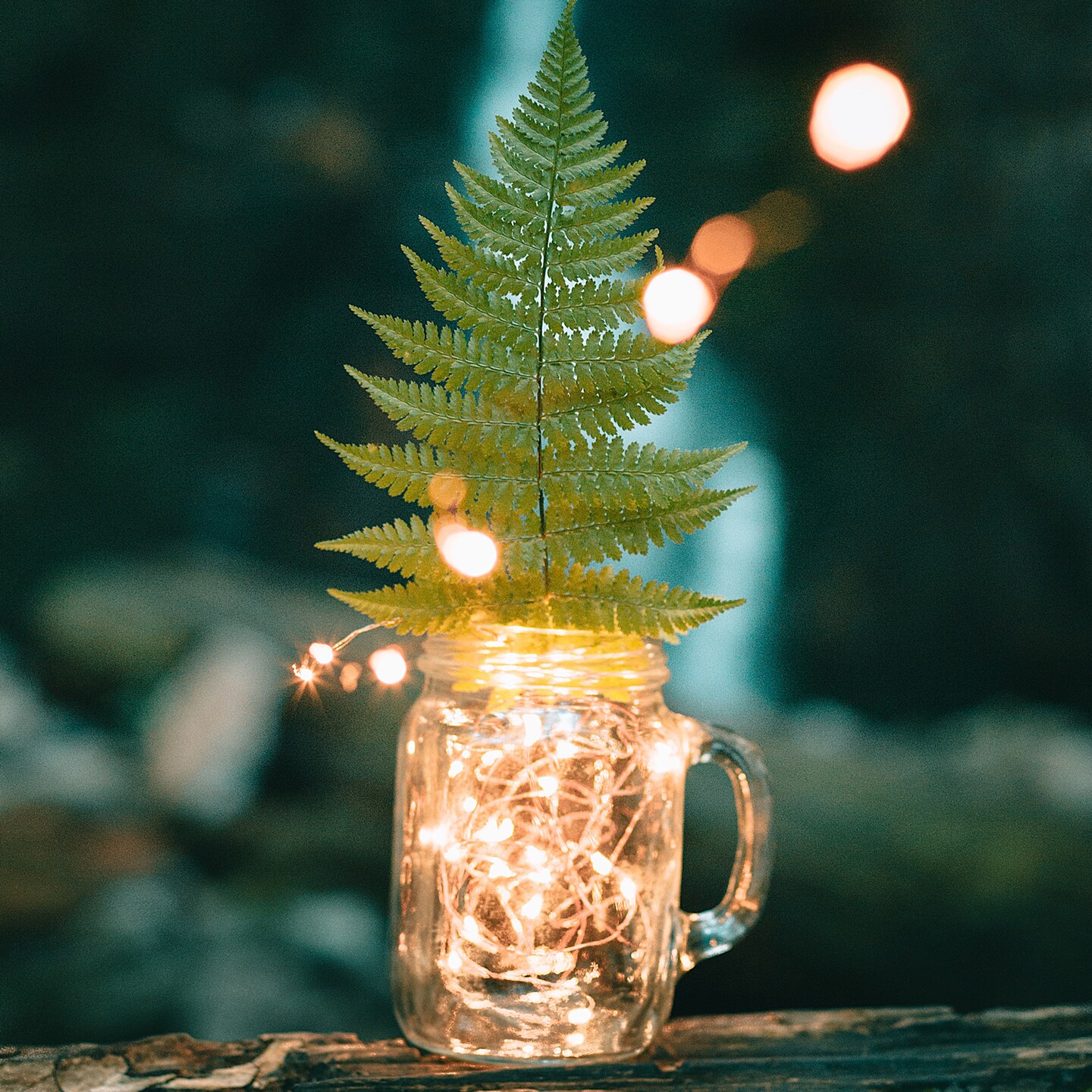 20 LED Mini String Light Batteries Included - Warm White