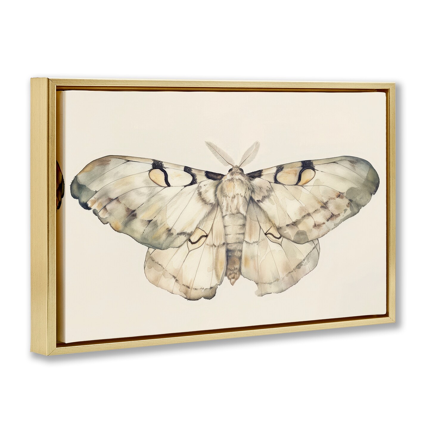 Stupell Industries Dusty Beige Moth Framed Floater Canvas Wall Art Design by Petal Prints Design