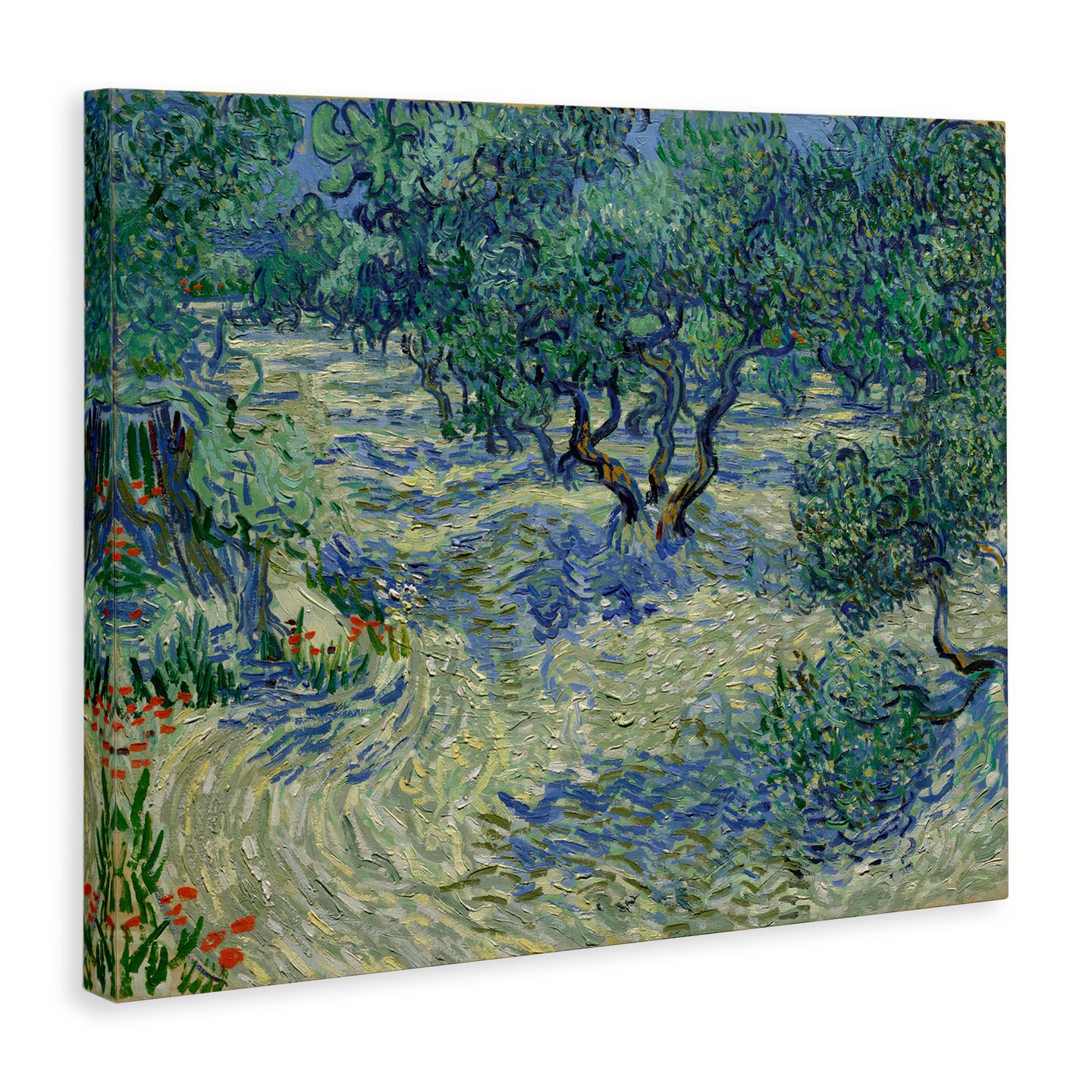 Stupell Industries Classic Van Gogh Olive Orchard Canvas Wall Art Design by one1000paintings