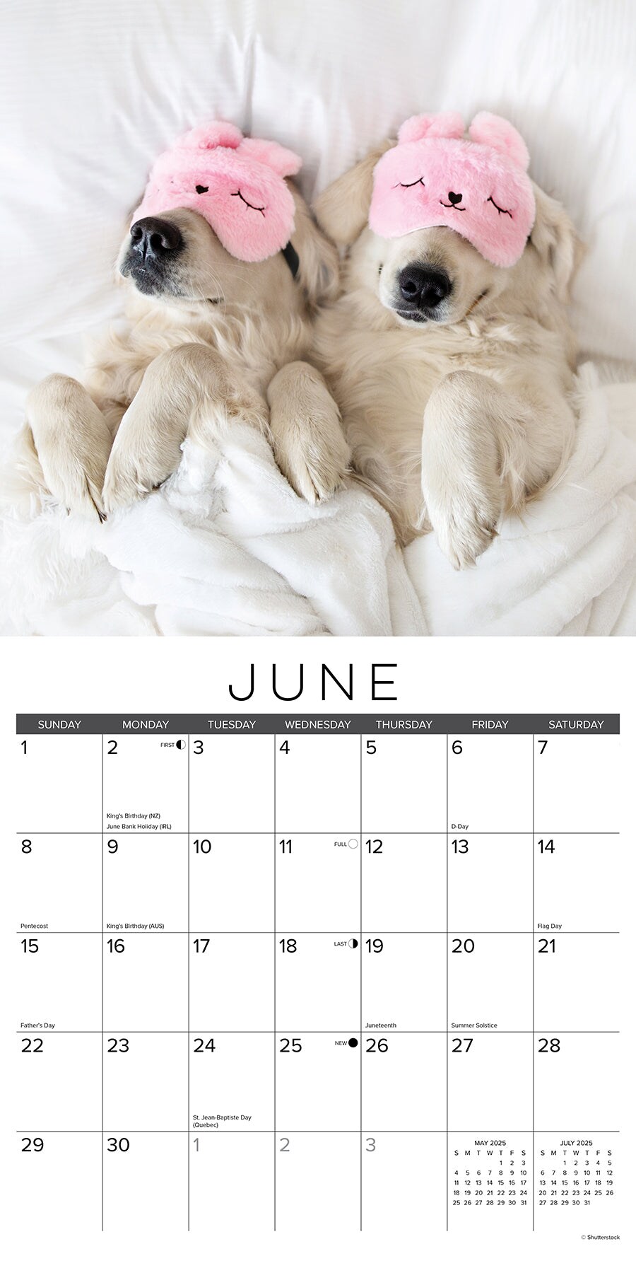 Naptime: Dogs &#x26; Puppies on their Best Behavior 2025 Wall Calendar