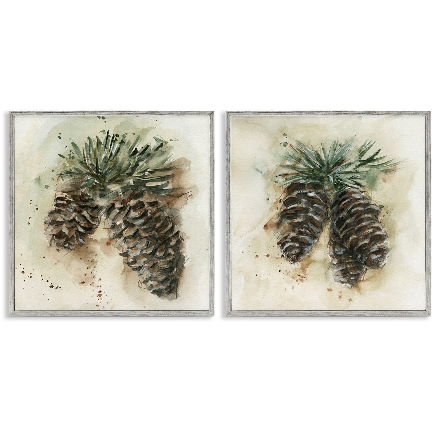 Stupell Industries Watercolor Drawing Pine Cones  2 pc Framed Giclee Wall Art Set Design by Ethan Harper