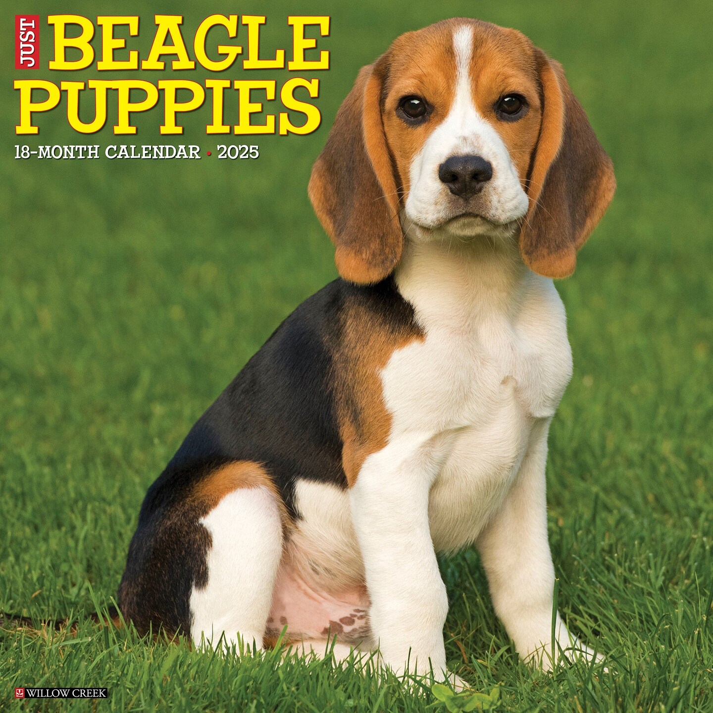 Beagle Puppies 2025 Wall Calendar