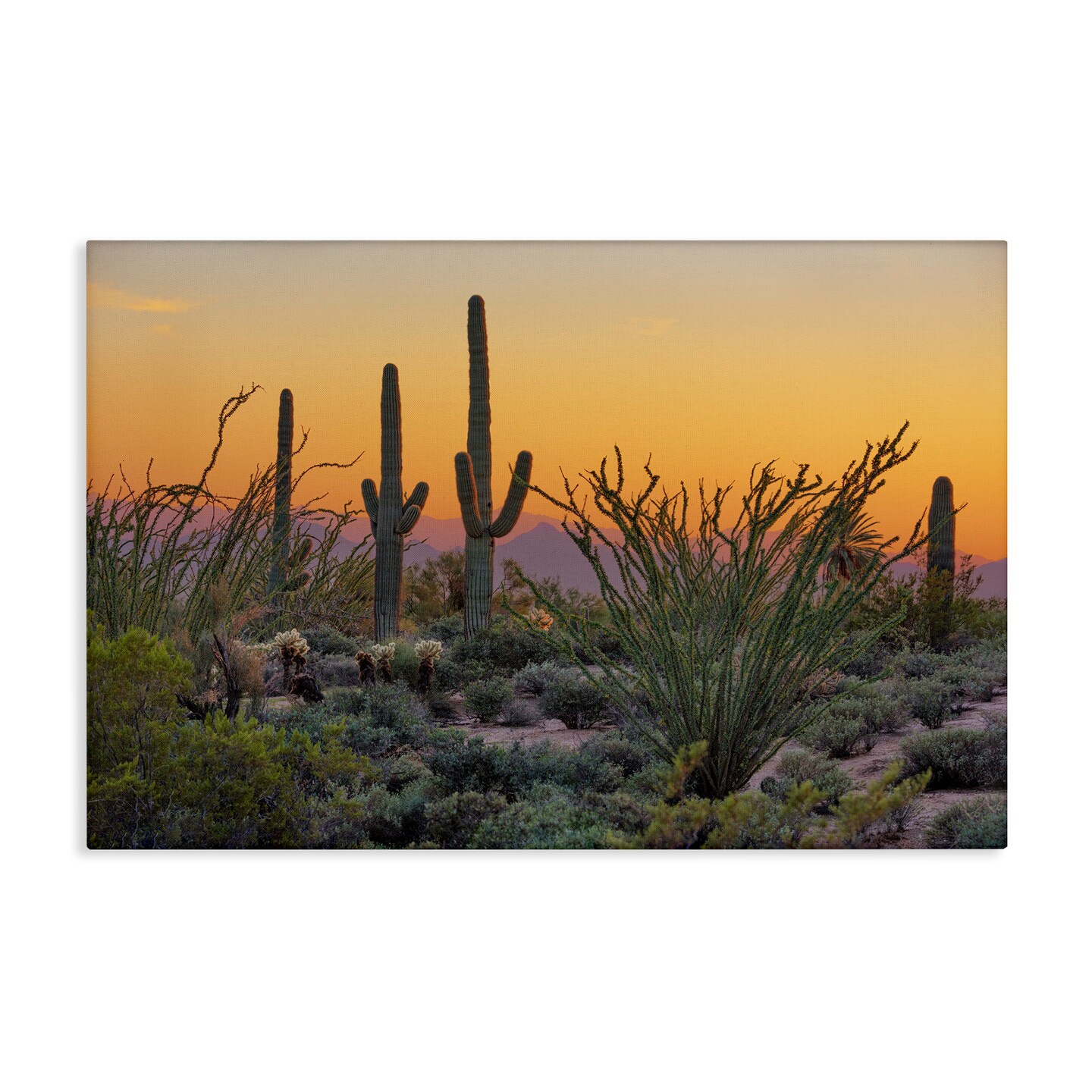 Stupell Industries Sunset Desertscape Cacti Canvas Wall Art Design by Marty Hulsebos