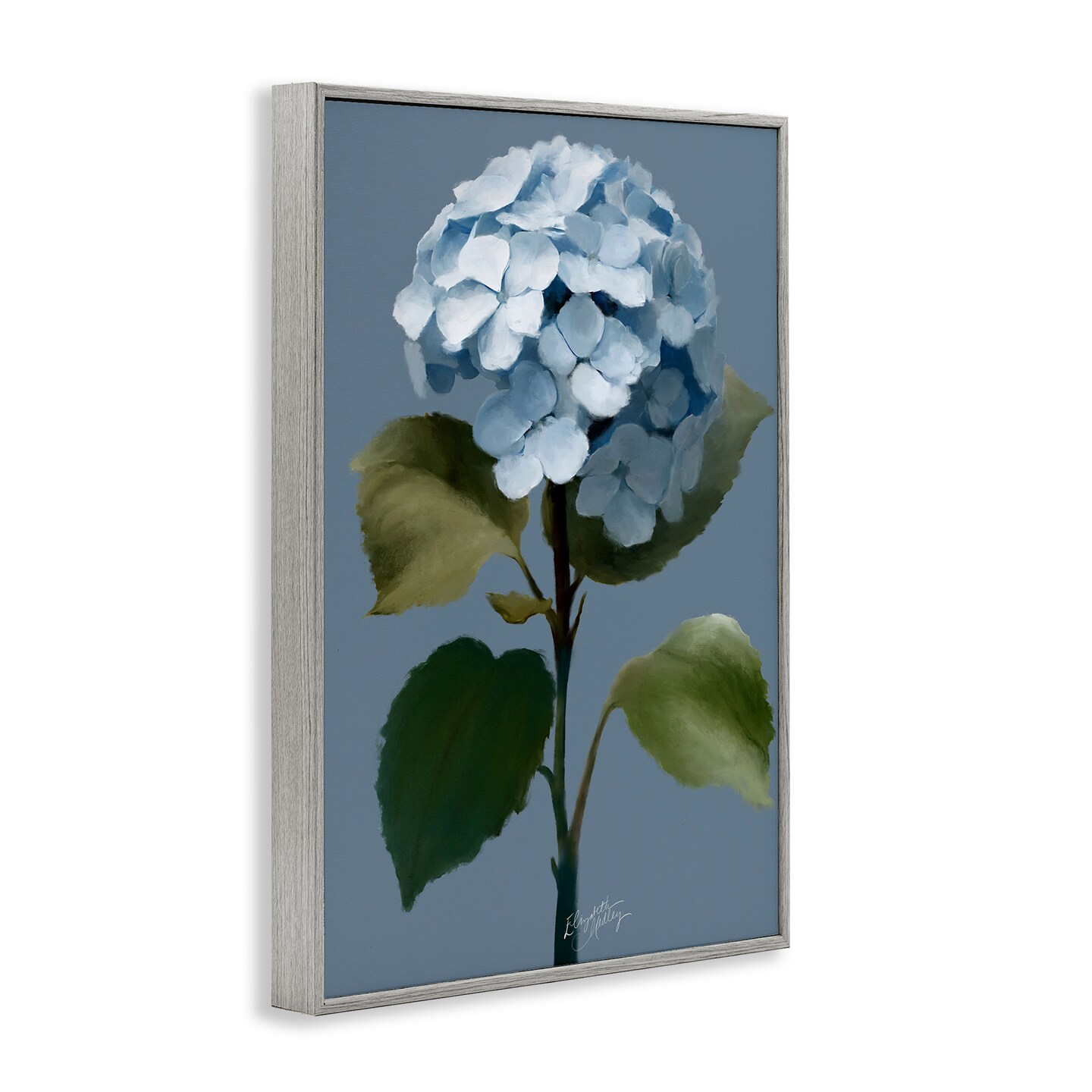 Stupell Industries Delicate Blue Hydrangea Framed Giclee Wall Art Design by Elizabeth Medley